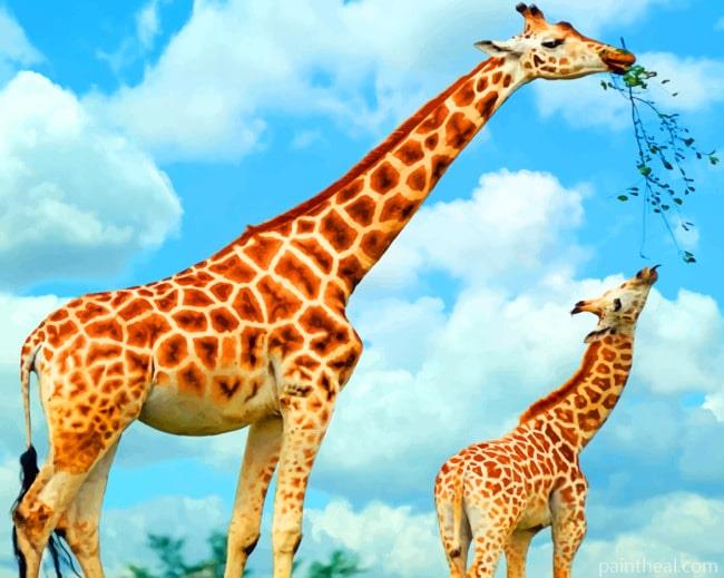 Tall Giraffes Painting By Numbers Kits