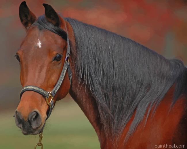 Brown Horse Animal Painting By Numbers Kits