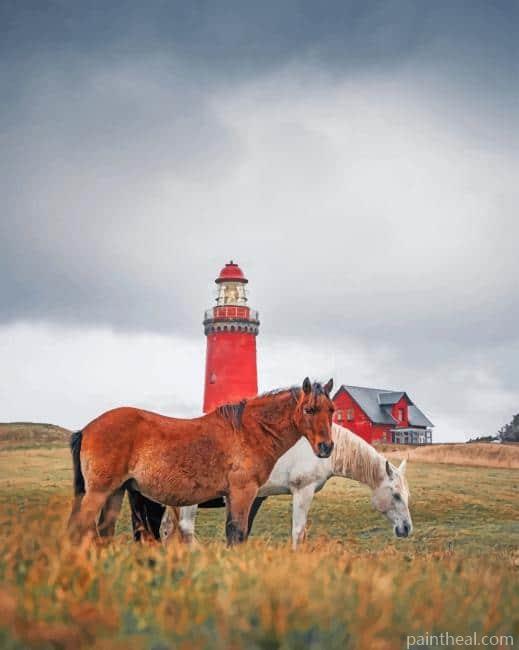Horses Near Bovbjerg Lighthouse Painting By Numbers Kits