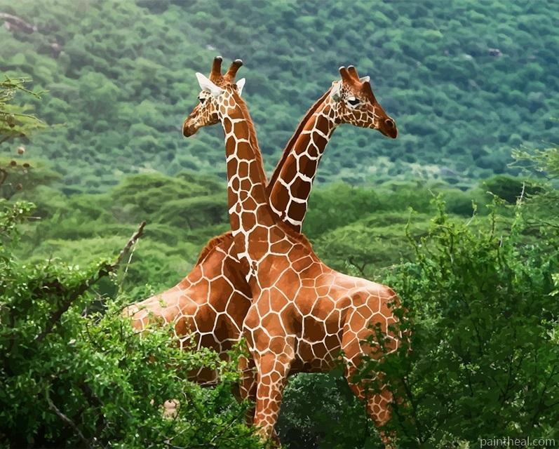 Wildlife Giraffes Painting By Numbers Kits