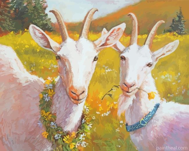 White Goats Painting By Numbers Kits