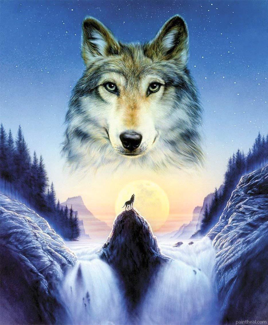 Waterfall Wolf Painting By Numbers Kits