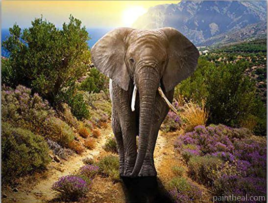 Elephant In Nature Painting By Numbers Kits