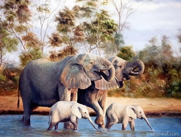 Elephant Family In Pond Painting By Numbers Kits
