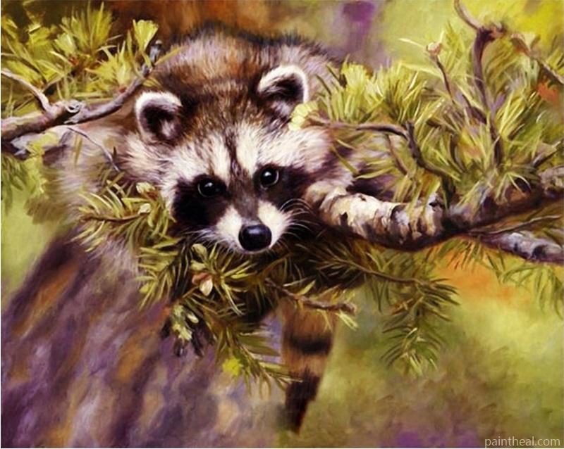 Raccoon On Tree Painting By Numbers Kits