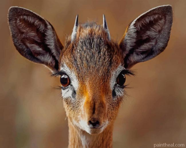 Female Gazelle Painting By Numbers Kits
