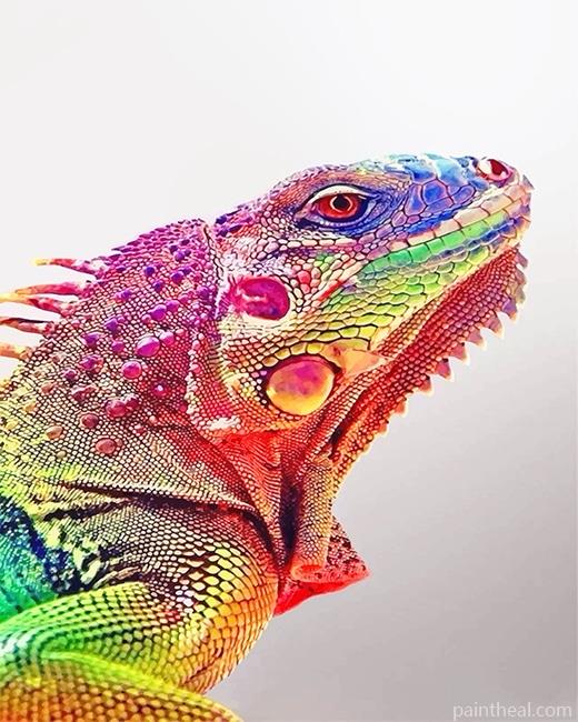 Rainbow Iguana Painting By Numbers Kits