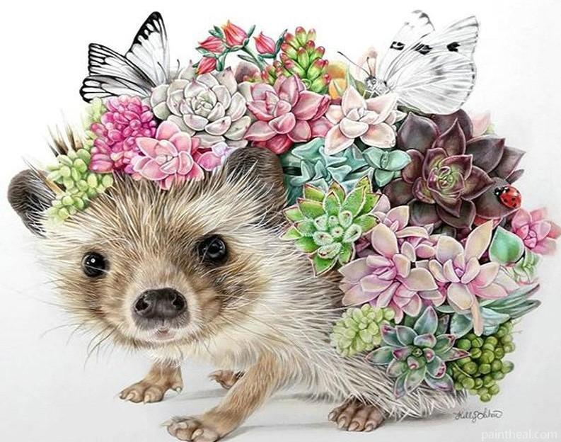 Succulents Hedgehog Painting By Numbers Kits