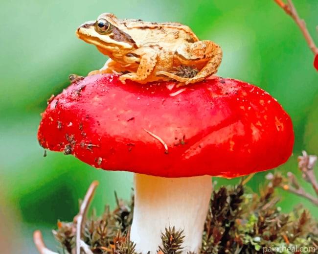Frog Sitting On A Red Mushroom Painting By Numbers Kits