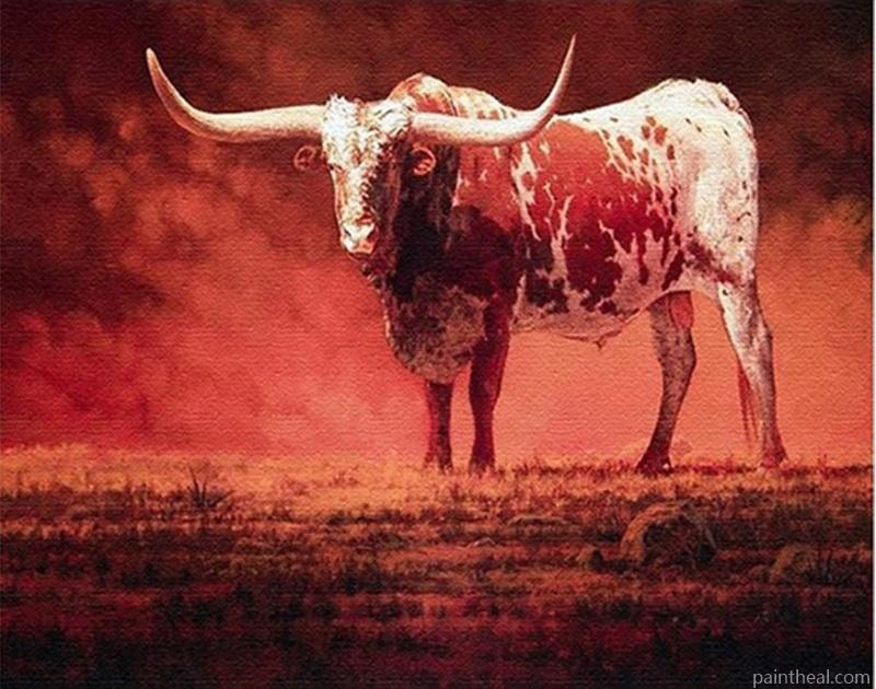 Wild Ox Animal Painting By Numbers Kits