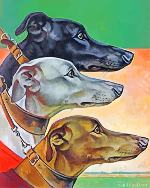 Greyhounds Heads Painting By Numbers Kits