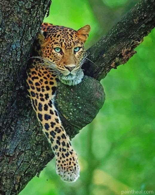 Leopard On A Tree Branch Painting By Numbers Kits