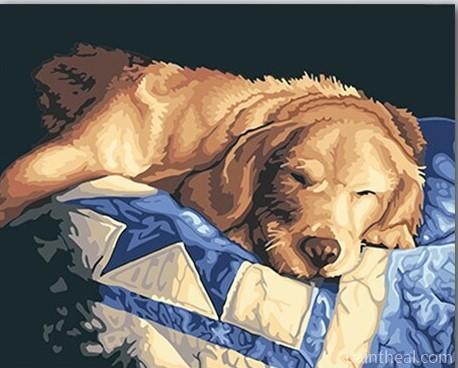 Lazy Dog Painting By Numbers Kits
