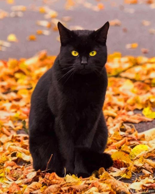 Black Cat In Autumn Painting By Numbers Kits