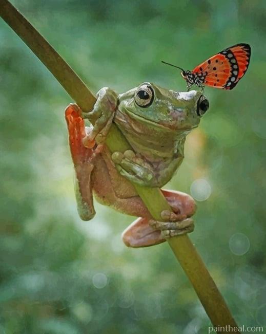 Frog And Butterfly Painting By Numbers Kits