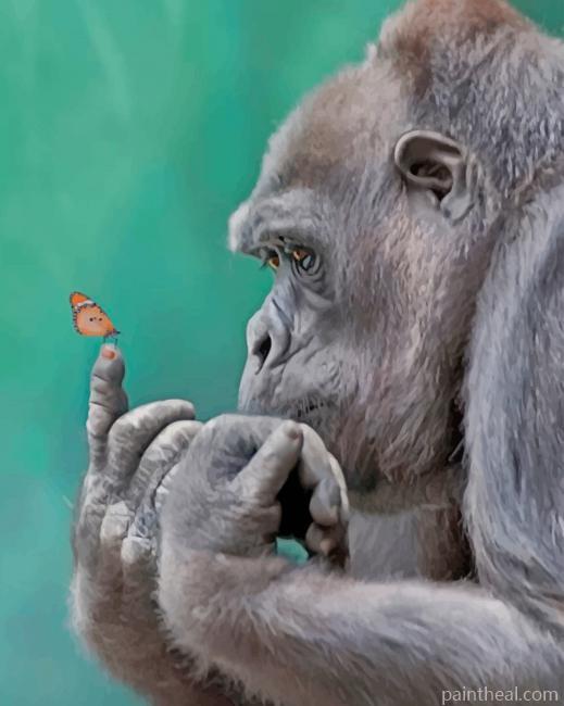 Gorilla And Butterfly Painting By Numbers Kits