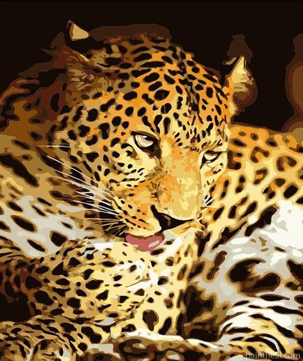 Leopard Painting By Numbers Kits