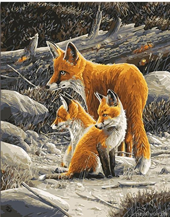Orange Wild Fox Family Painting By Numbers Kits