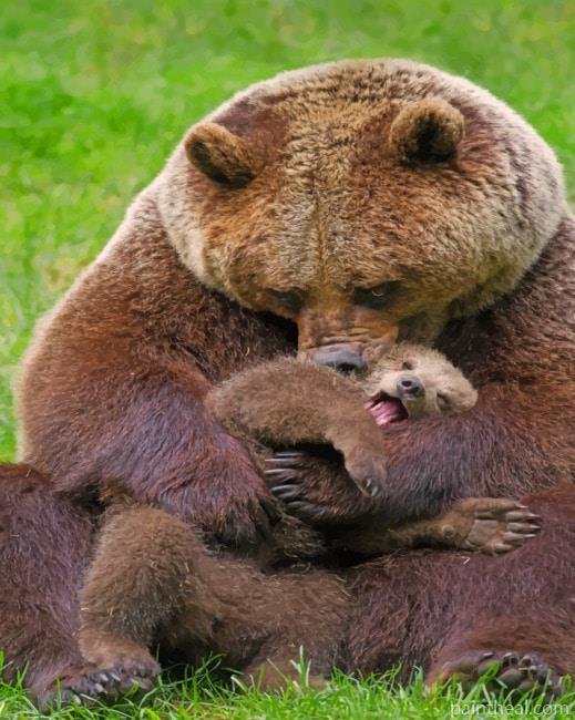 Bear And Cub Painting By Numbers Kits