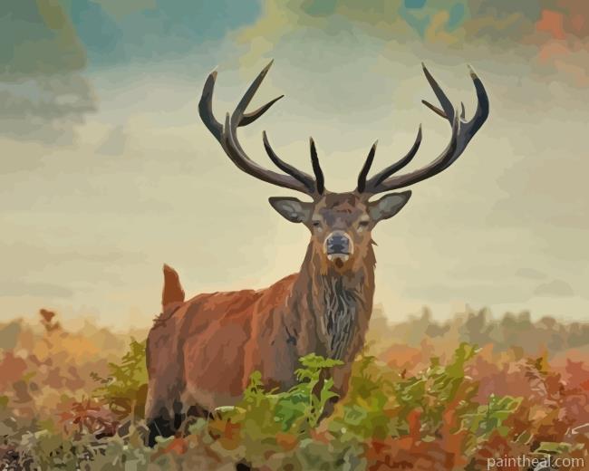 Wild Stag Animal Painting By Numbers Kits