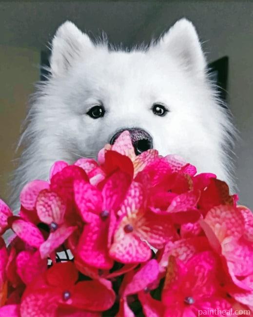 Samoyed Holding Flowers Painting By Numbers Kits