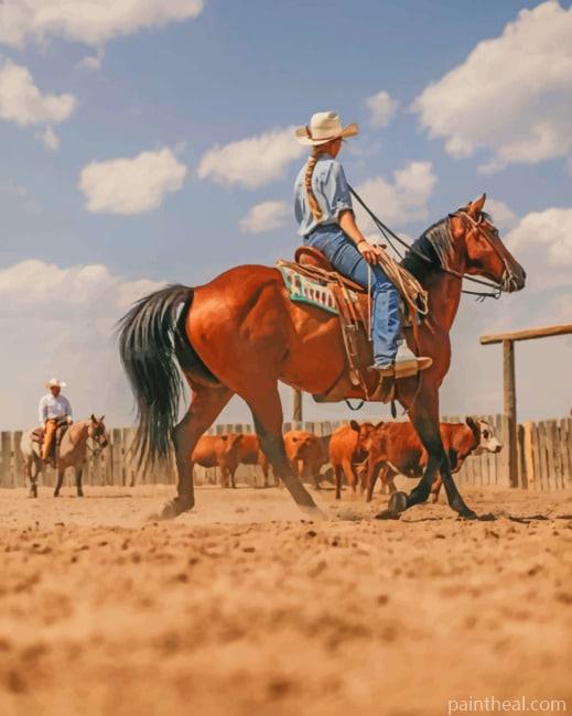Cowgirl On Stallion Horse Painting By Numbers Kits
