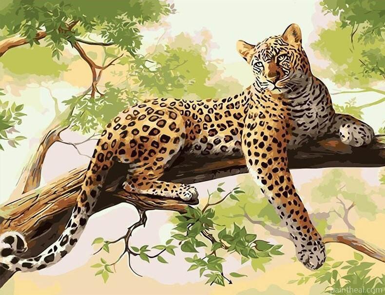 Wild Leopard Painting By Numbers Kits