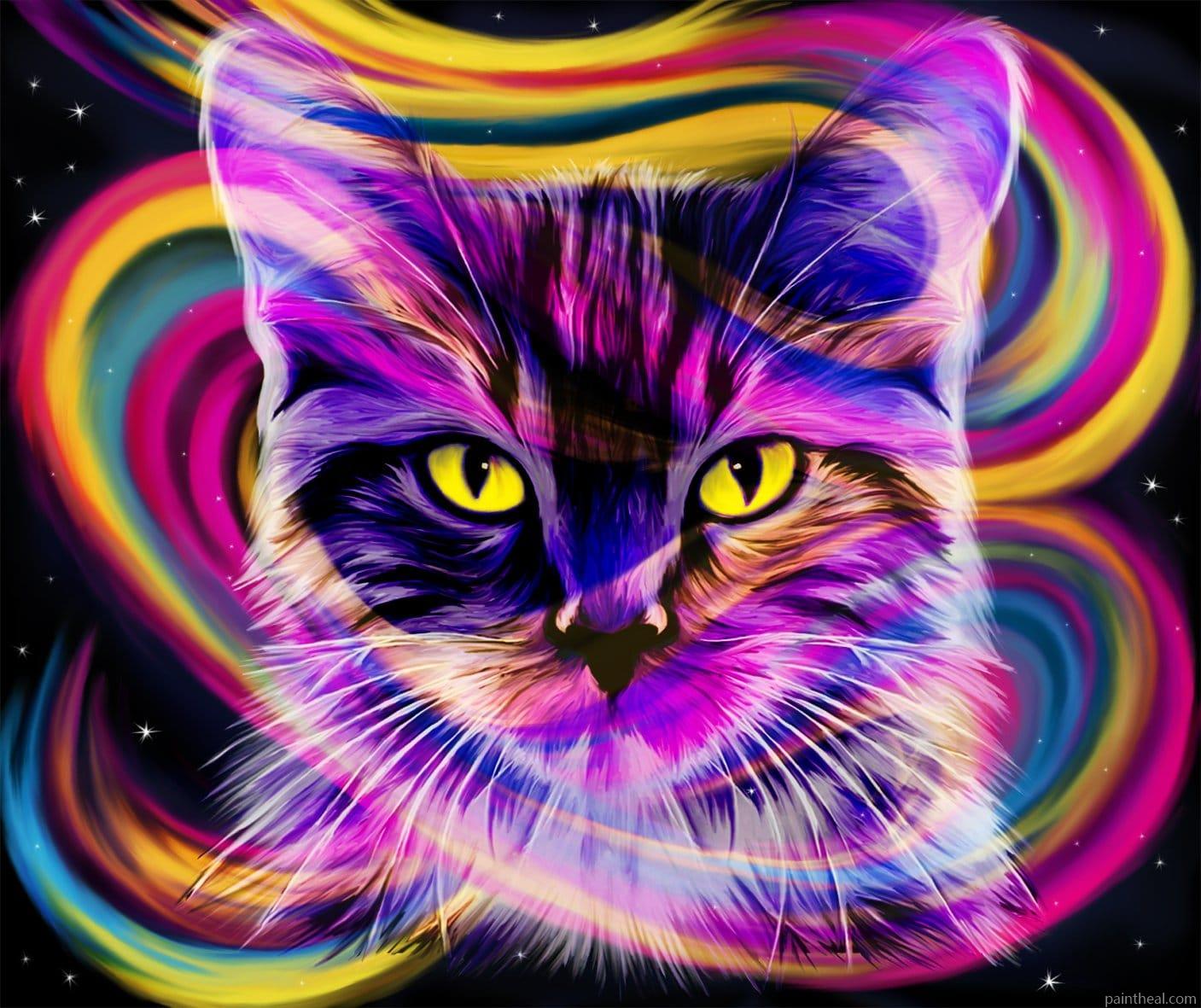 Rainbow Cat Painting By Numbers Kits