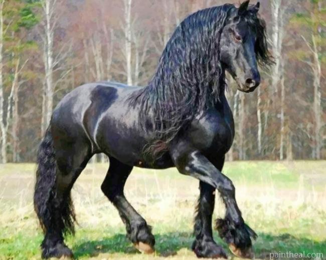 Friesian Horse Painting By Numbers Kits