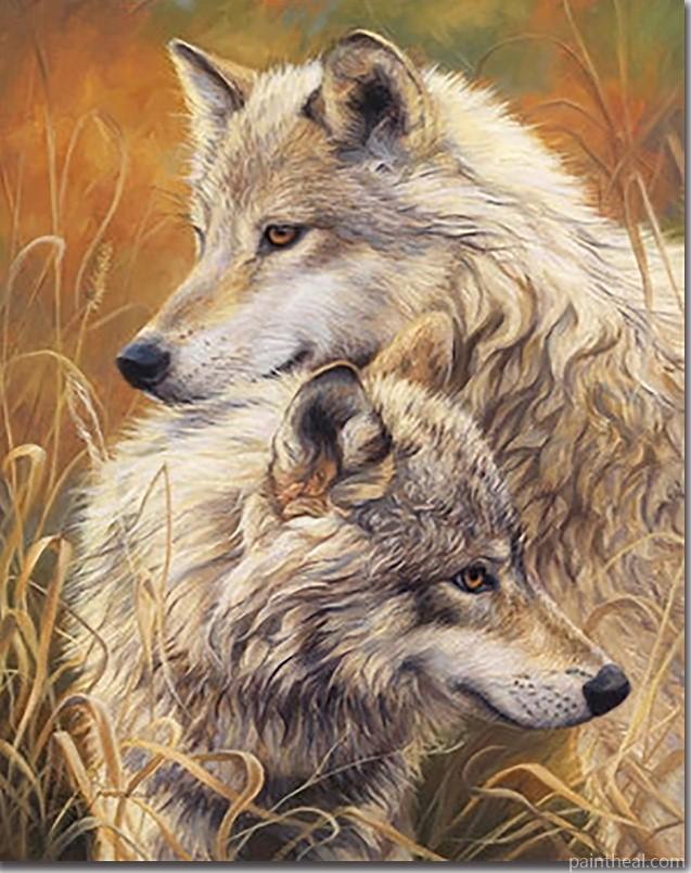 Two Wild Wolves Painting By Numbers Kits