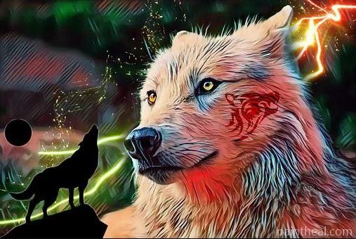 Fantasy Storm Wolf Painting By Numbers Kits