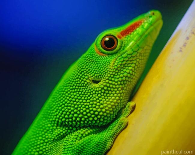 Green Lizard Reptiles Painting By Numbers Kits