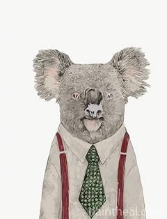 Mr Koala Painting By Numbers Kits