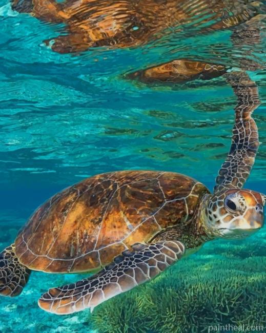 Brown Sea Turtle Painting By Numbers Kits