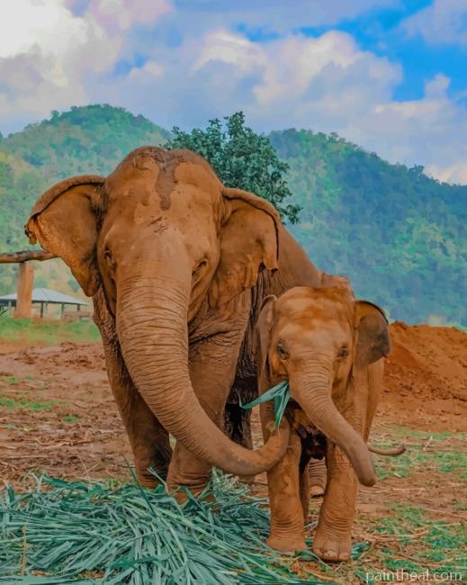 Mommy And Baby Elephant Painting By Numbers Kits