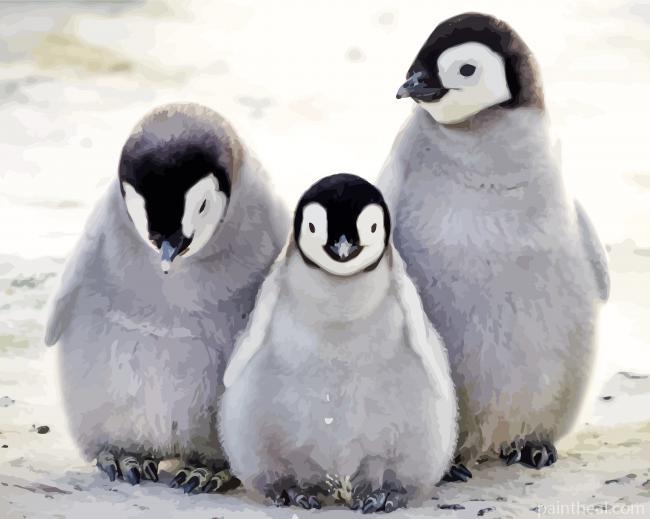 Monochrome Penguin Family Painting By Numbers Kits