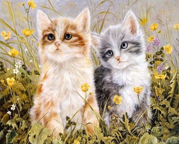 Little Kittens In Garden Painting By Numbers Kits