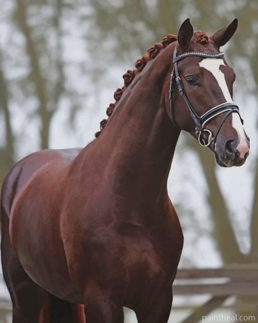 Chestnut Warmblood Horse Painting By Numbers Kits