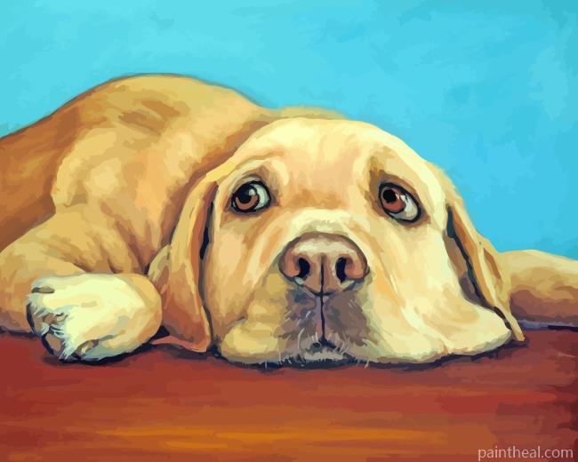 Labrador Retriever Painting By Numbers Kits