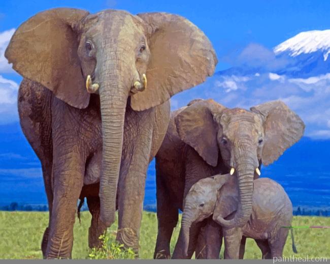 Elephant Family Painting By Numbers Kits