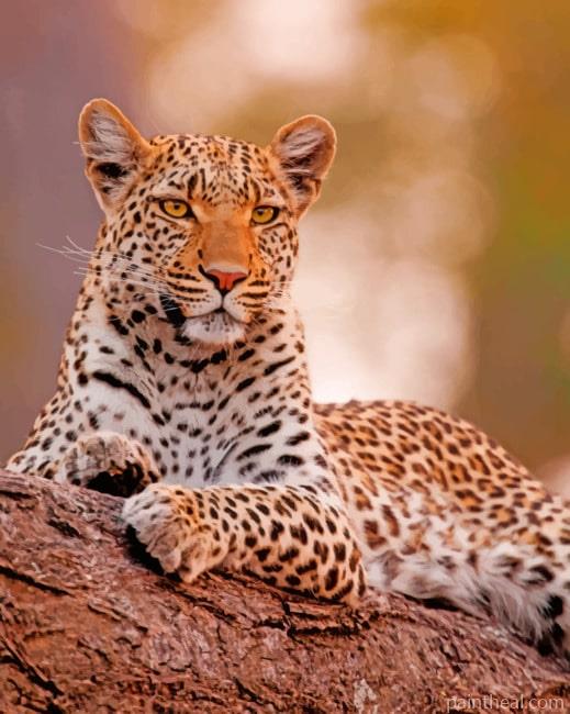 African Leopard Painting By Numbers Kits