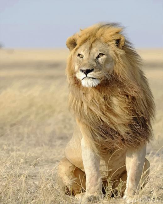 Lion In The Wild Painting By Numbers Kits