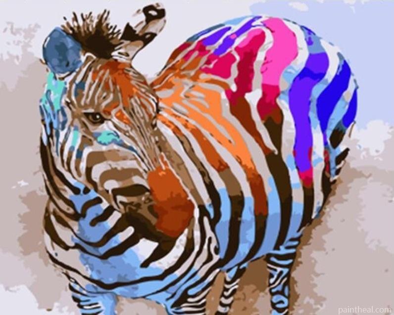Colorful Zebra Painting By Numbers Kits