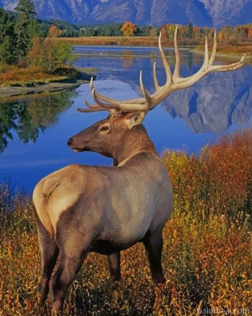 Elk Animal Painting By Numbers Kits