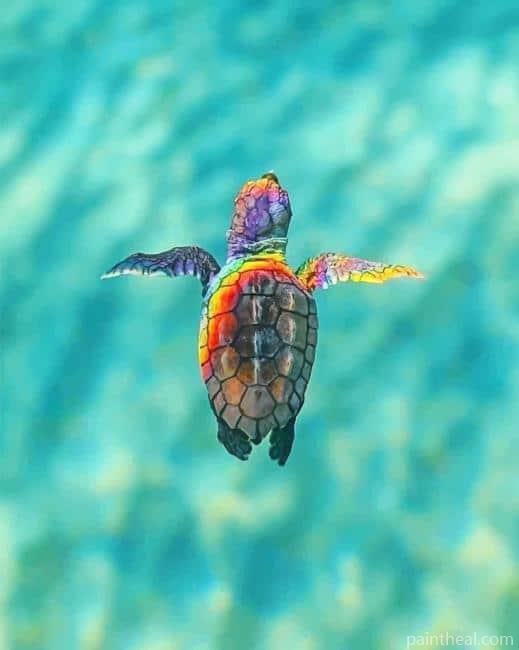 Rainbow Sea Turtle Painting By Numbers Kits