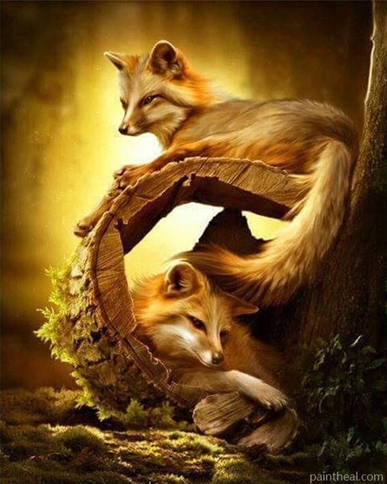 Little Foxes In The Forest Painting By Numbers Kits