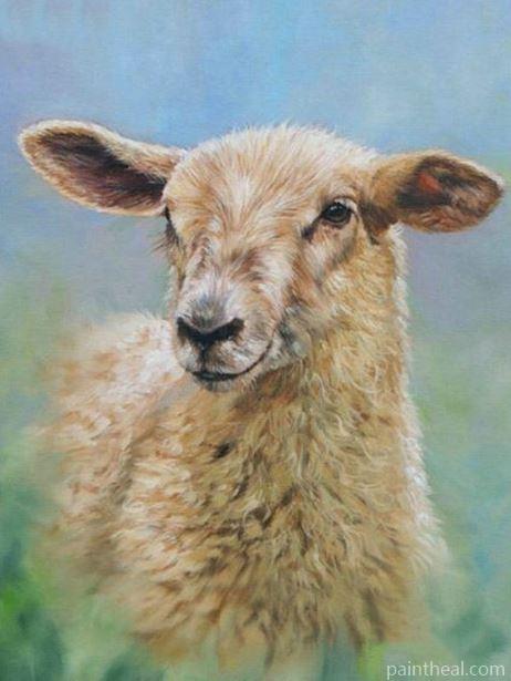 Little Sheep Painting By Numbers Kits