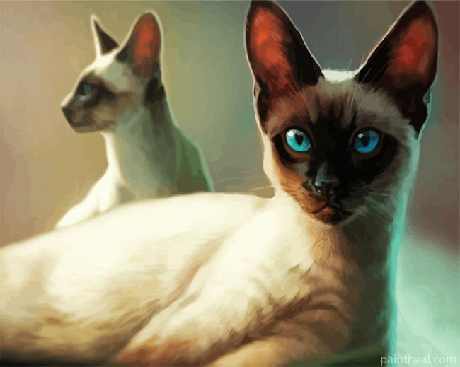 Cool Cats Painting By Numbers Kits