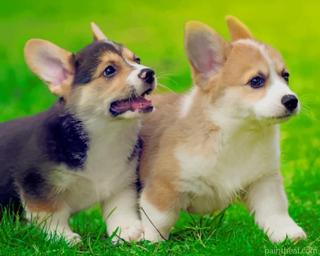 Pembroke Welsh Corgi Puppies Painting By Numbers Kits