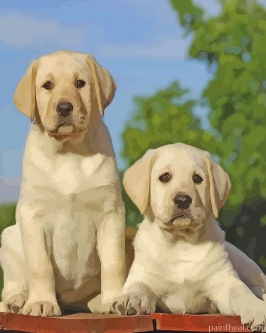 Labradors Puppies Painting By Numbers Kits